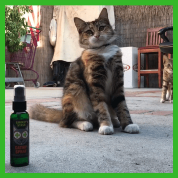 Smokey's Stash Catnip Spray Bottle 2 oz-