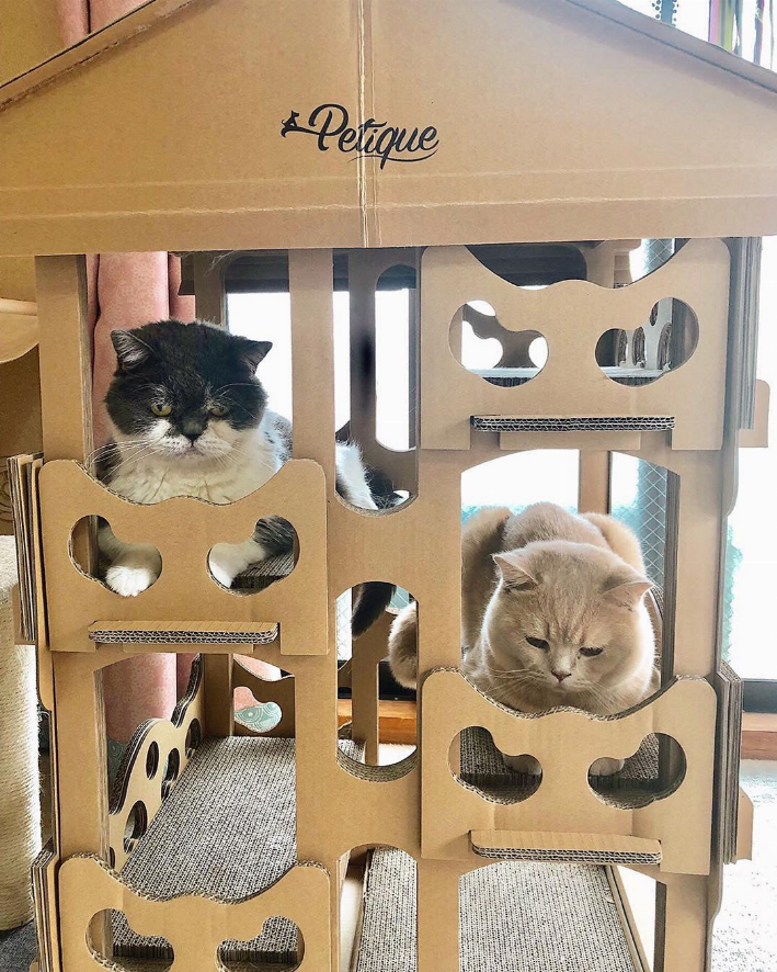 Feline Chateau Cat House 17 lb
